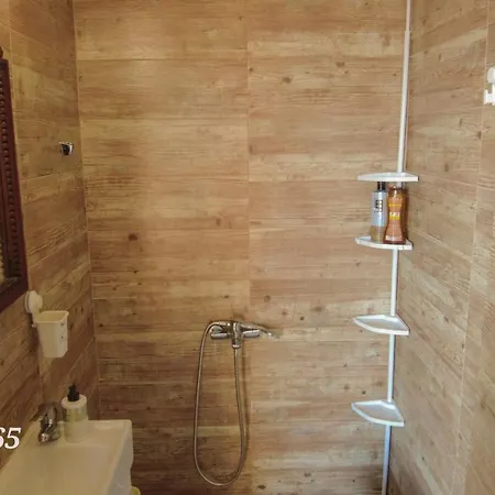 Rizomia 1865 Yerolimin