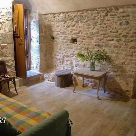 Rizomia 1865 예롤리민