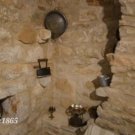 Rizomia 1865 *