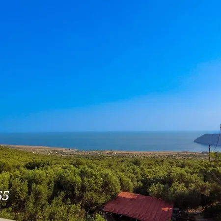 Rizomia 1865 * 예롤리민