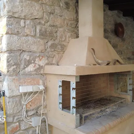 Rizomia 1865 * 예롤리민