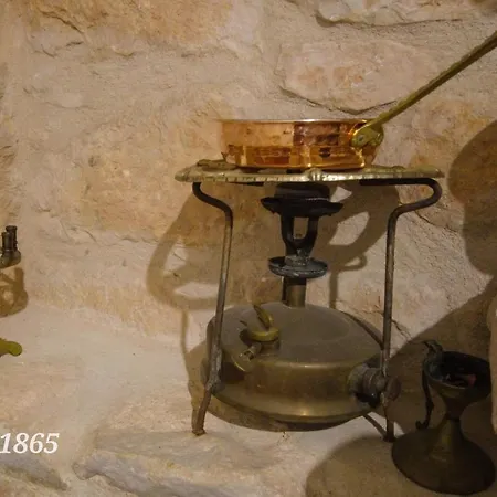 Rizomia 1865 *