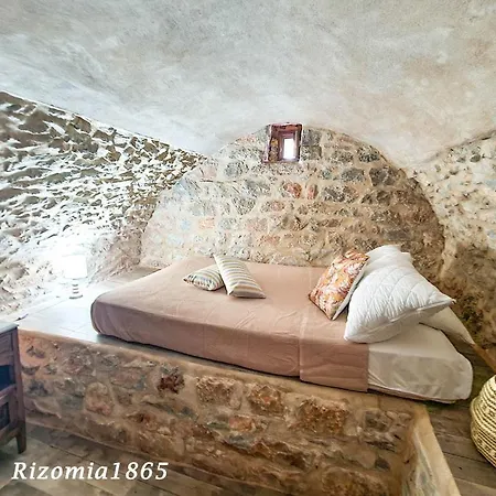 Rizomia 1865