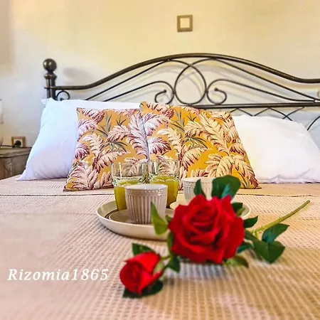 Rizomia 1865 بيت للعطل *