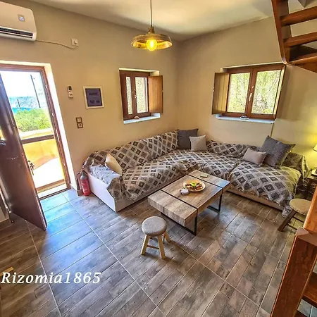 Rizomia 1865 * 예롤리민