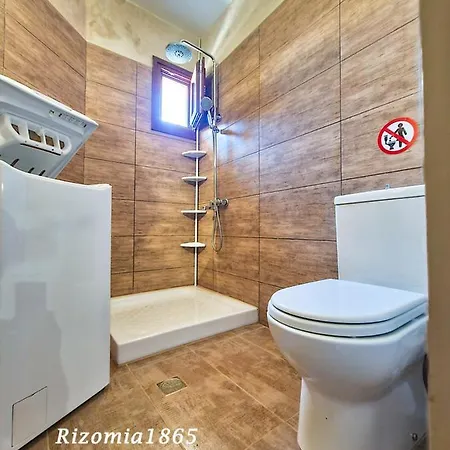 Rizomia 1865 *