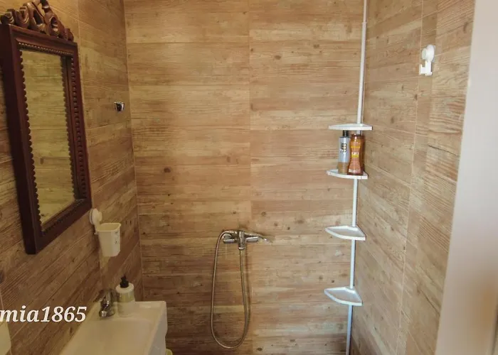 Rizomia 1865 예롤리민