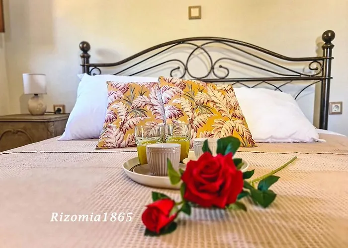 Rizomia 1865 펜션 *