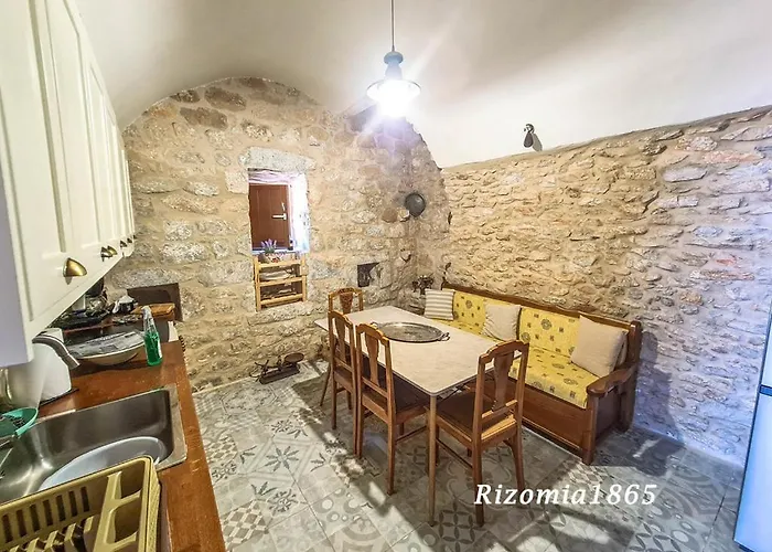 Rizomia 1865 예롤리민