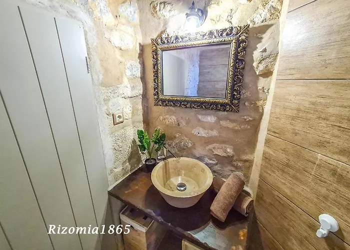 Rizomia 1865 예롤리민